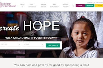 non profit website, charity website, ngo website, 501c3, fundraising, donation