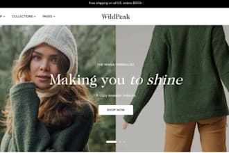 build shopify store design redesign shopify dropshipping store shopify website