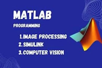 do your matlab programming, image, signal processing and simulink projects