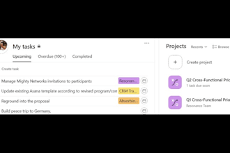 offer expert asana setup and customization