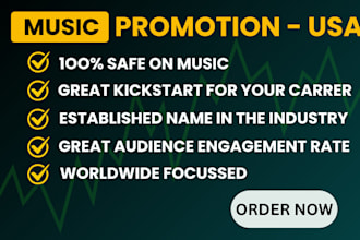 do organic USA targeted music promotion spotify youtube tiktok apple prodcast