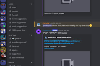 set up the ultimate discord server