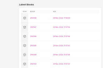 blockchain explorer evm chain blockchain explorer with testnet fork chain