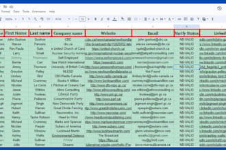 data entry with data cleaning, data analysis and predictive modelling