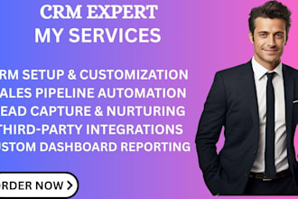 customize and integrate hubspot, go high level, salesforce and apptivo CRM VA