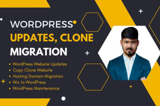 wordpress website updates, backups, copy clone website, migration and bug fixes