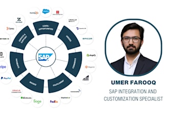 integrate or customize sap erp for your business