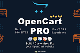 create a professional opencart online store