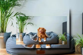 perform a psychic reading for your pet