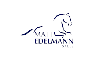 design awesome horse business logo