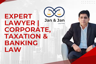 do legal consultation and advice