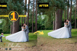 add or remove unwanted object from photos
