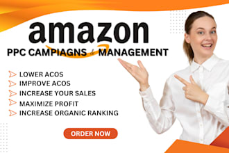 setup and manage amazon PPC campaigns