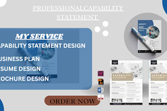 design an effective government capability statement and business plan