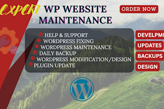 manage website, website maintenance, posting on website, wordpress seo assistant
