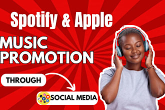 do organic spotify music promotion, USA spotify promo and apple music