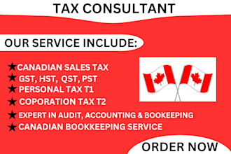 be your tax consultant and file your canadian t1,t2,t3,t4 taxes