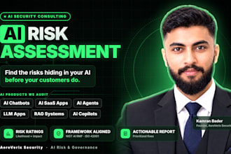 perform ai risk assessment, governance, and compliance audit
