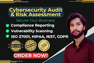 perform cybersecurity audit and risk assessment