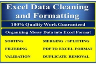 do ms excel data cleaning and data analysis
