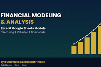 build a professional financial model and analysis in excel