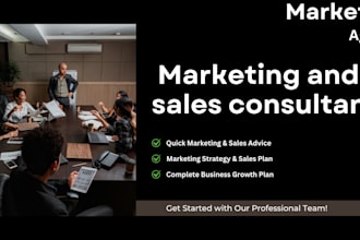 provide marketing and sales consultancy services