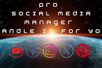 pro social media manager handle it for you grow your brand