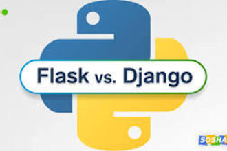 develop a professional django or flask web application with API and data