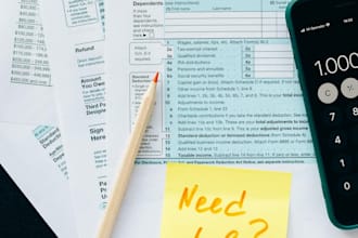 prepare efile US income tax returns individuals and entrepreneurs