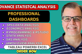 make professional dashboard with tableau and powerbi