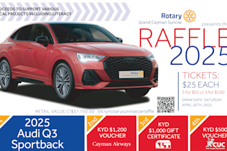 raffle website, competition website, give away website, business website