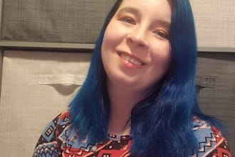 alpha or beta read your story and give feedback