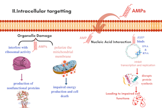 medical, scientific and biology illustrations for you