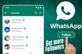 promote whatsapp channel and increase the channel followers