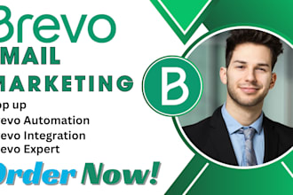 set up professional email automation and newsletters using brevo