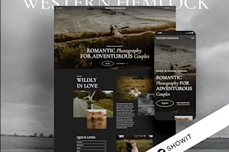 design and customize your showit website and template