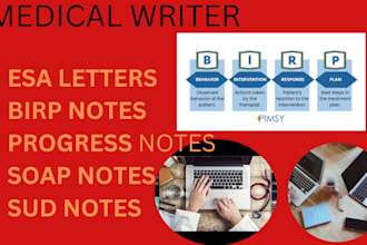 write esa letters,birp notes, progress notes, soap notes, sud notes