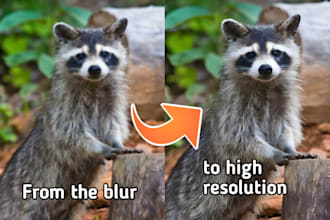 clear up your photo resolution very easily using ai