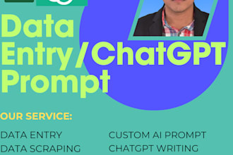 deliver accurate data entry and custom ai writing prompts