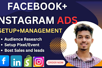 facebook meta ads campaign,meta campaign setup,meta analysis