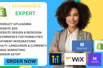 do passive income shopify customization,wordpress ecommerce on shopify or wix