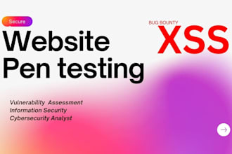 perform pro penetration testing to secure your website