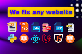 fix any website professional bug fixing error solving expert