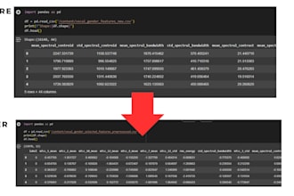 clean excel and CSV data using python