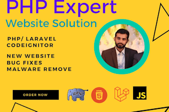 fix or develop any php codeigniter laravel wordpress website