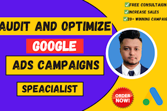 audit and optimize google ads, adwords, and PPC campaigns for local businesses