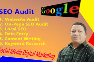 provide detailed SEO audit report
