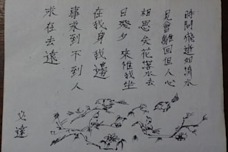 translate documents from chinese to english, vietnamese to chinese