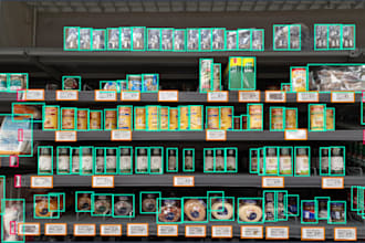do data annotation and data labeling professional