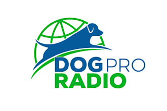 design an awesome radio logo with express delivery
